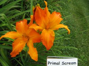 PRIMAL SCREAM