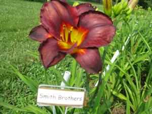 SMITH BROTHERS