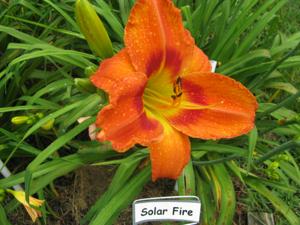 SOLAR FIRE