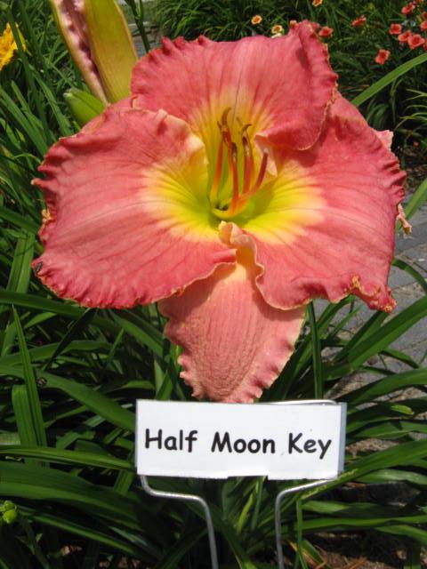 Half Moon Key.jpeg