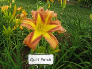 QUILT PATCH